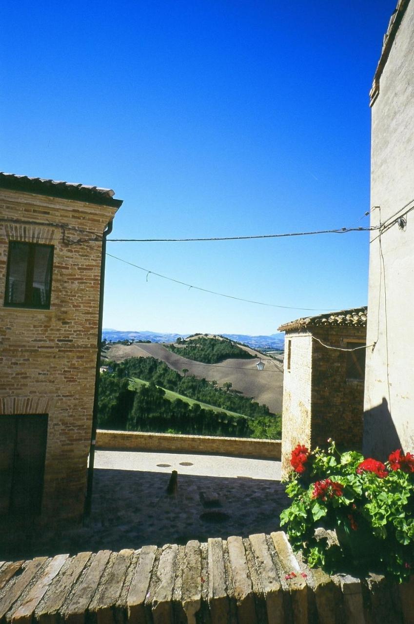 Agriturismo Pozzuolo Serrungarina Exteriör bild